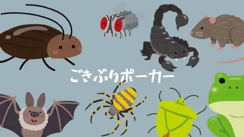 ごきぶりポーカー|ハマさん